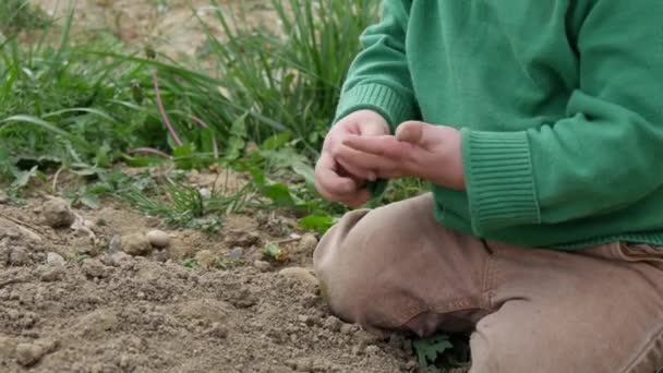 Ein Niedlicher Kleiner Junge Spielt Draußen Der Erde — Stockvideo