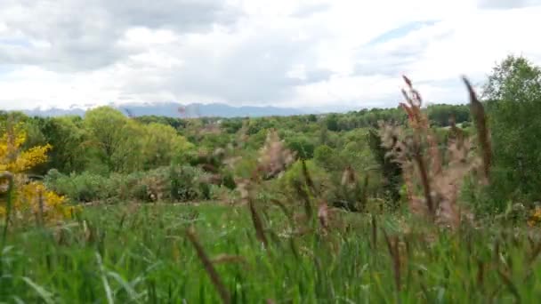 春のフランスの南西 フランスの田園地帯の眺め — ストック動画
