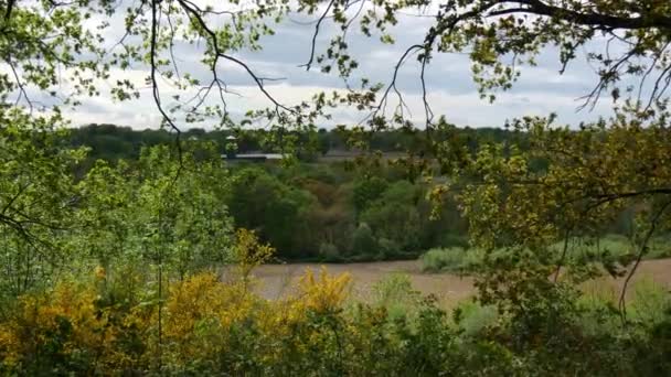 Vista Paisagem Rural Francesa Sudoeste França Primavera — Vídeo de Stock