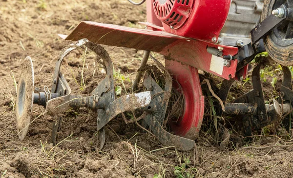 Cultivadores en el jardín — Stockfoto