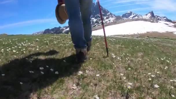 フランスのピレネー山脈を歩くハイカー女性 背景にピック ミディ オッサウ — ストック動画