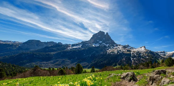 Blick auf den pic du midi ossau im Frühling, französische Pyrenäen — Stockfoto