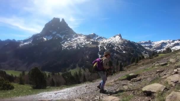 Wandelaar Vrouw Wandelen Franse Pyreneeën Bergen Pic Midi Ossau Achtergrond — Stockvideo