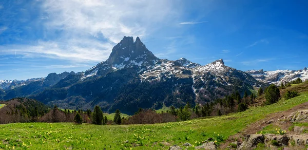 View of Pic du Midi Ossau in springtime, french Pyrenees — Stock Photo, Image