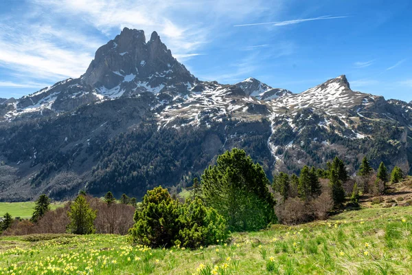 Vista de Pic du Midi Ossau en primavera, Pirineos franceses — Foto de Stock