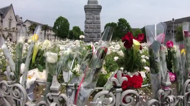 法国高比利牛斯Lourdes圣母会 — 图库视频影像