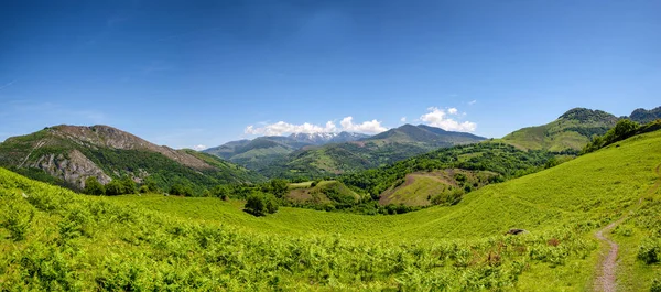 Panoramautsikt över fjäll landskapet på sommaren. Pyrenéerna — Stockfoto