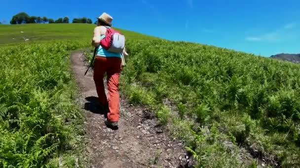 Senderismo Trekking Las Montañas Vista Trasera Espalda Mujer Caminando Por — Vídeo de stock