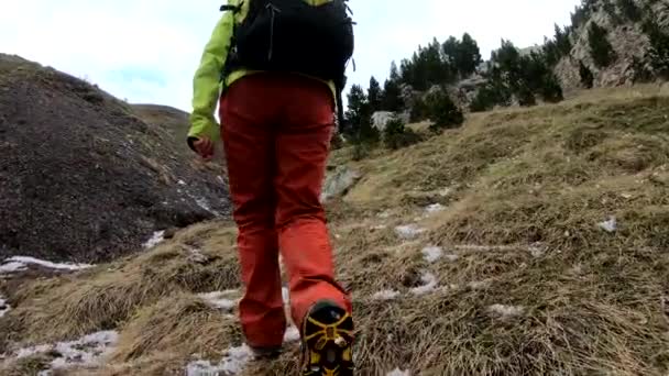 Hiking Trekking Mountains Rear View Back Woman Walking Way Backpack — Stock Video