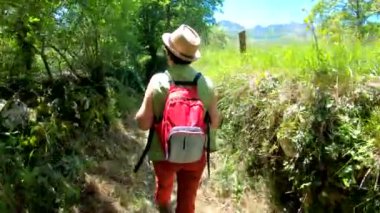 Dağlarda yürüyüş trekking. Bir sırt çantası ile yol boyunca yürüyen kadının arka görünümü 