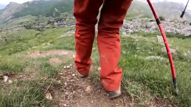 山でのハイキングトレッキング バックパックで道を歩いている女性の背中の背面図 — ストック動画