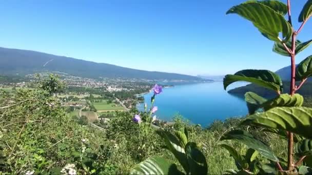 Άποψη Της Λίμνης Annecy Γαλλικές Άλπεις — Αρχείο Βίντεο