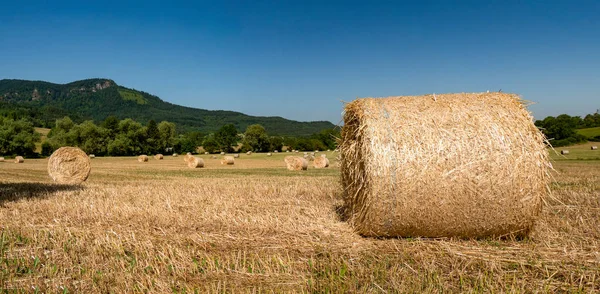 Sklizené pole se slámovými balíky v létě — Stock fotografie