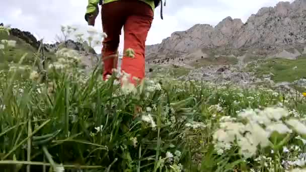 Trekking Montagna Vista Posteriore Della Schiena Della Donna Che Cammina — Video Stock