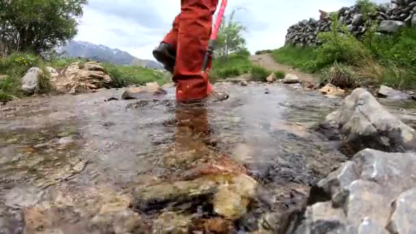 Mujer Excursionista Cruzando Pequeño Arroyo Montaña — Vídeos de Stock