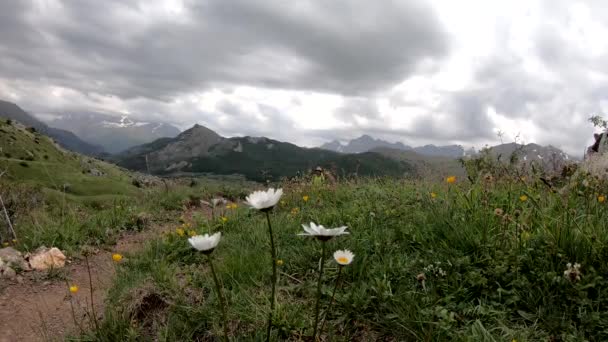 ピレネー フォルミガル ウエスカ スペインのテナ渓谷の景色を望むハイカー女性 — ストック動画