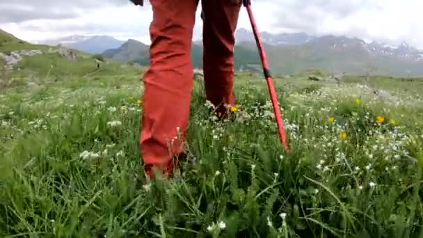 Senderismo Trekking Las Montañas Vista Trasera Espalda Mujer Caminando Por — Vídeos de Stock