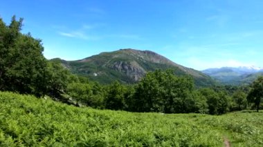 Yaz aylarında panoramik dağ manzara Ferns ön planda. Pireneler, Fransa