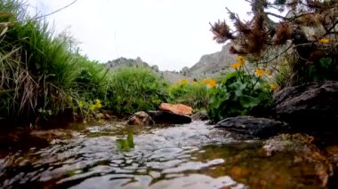 Küçük dağ akışında