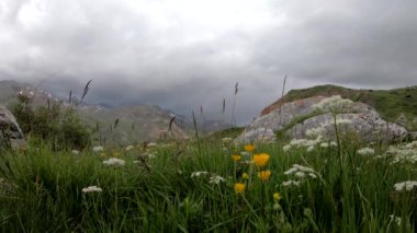 kötü bir hava ile dağ manzara