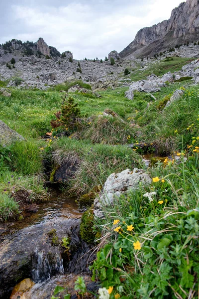 Malý potok v hoře — Stock fotografie