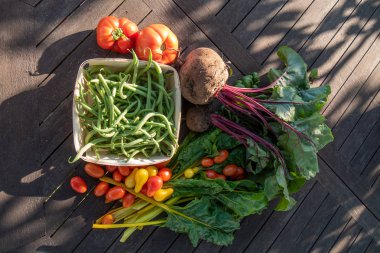 bahçe, fasulye, pancar, pazı ve domates organik sebze