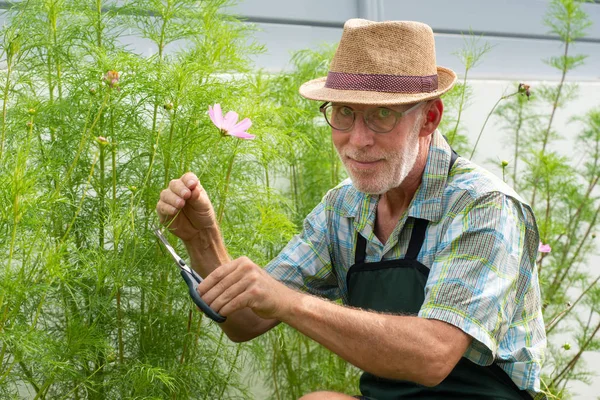 Retrato de hombre mayor jardinería — Foto de Stock