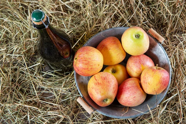 Flasche Apfelwein mit Äpfeln auf dem Stroh — Stockfoto