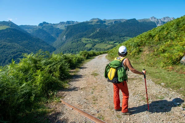 Kvinna vandrare på ett berg — Stockfoto