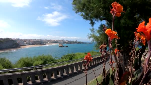 Biarritz Grande Plage Playa Verano Francia — Vídeo de stock