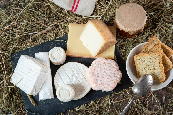 Verschillende heerlijke Franse kazen op stro — Stockfoto