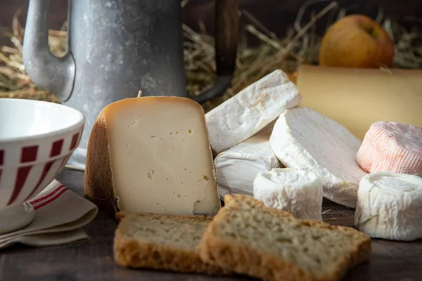 Różne pyszne francuskie sery na słomie — Zdjęcie stockowe