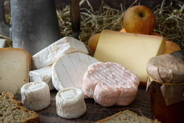 Different delicious French cheeses on straw — Stock Photo, Image