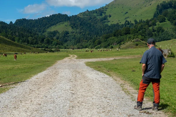 Man vandraren går i Pyrenéerna (Plateau du benou) — Stockfoto