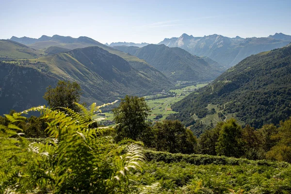 Panorama över de franska Pyrenéerna med ormbunkar — Stockfoto