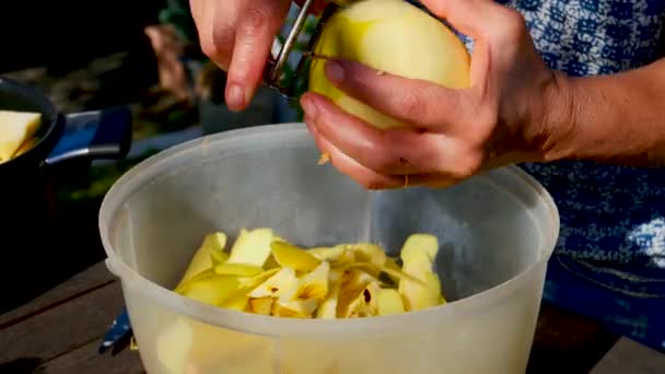 Kobieta Peeling Jabłko Zewnątrz — Wideo stockowe