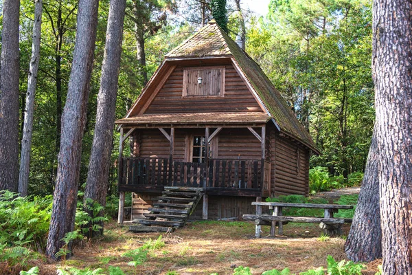 Wooden chalet in the forest — Stock Photo, Image