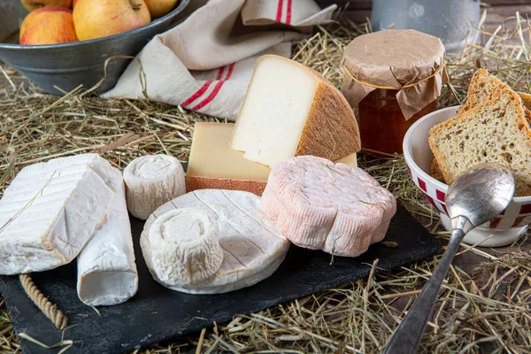 Různé delikátní francouzské sýry na slámu — Stock fotografie