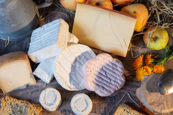 Różne pyszne francuskie sery na słomie — Zdjęcie stockowe