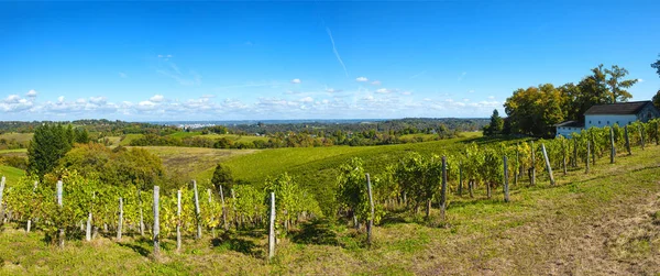 Vignoble du vin Jurancon dans les Pyrénées françaises — Photo