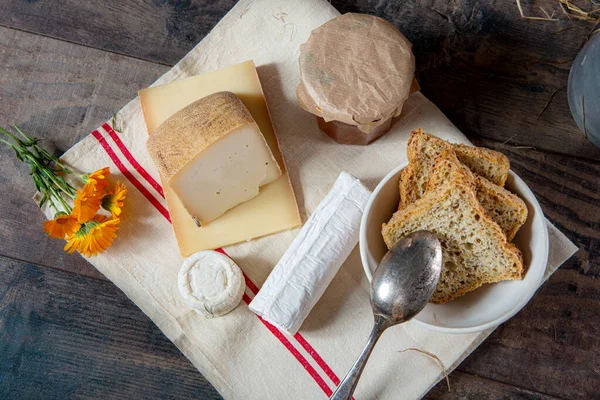 Diferentes quesos franceses deliciosos, productos lácteos — Foto de Stock