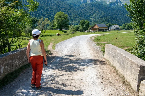 Bakifrån av kvinna promenader på en bergsstig. — Stockfoto