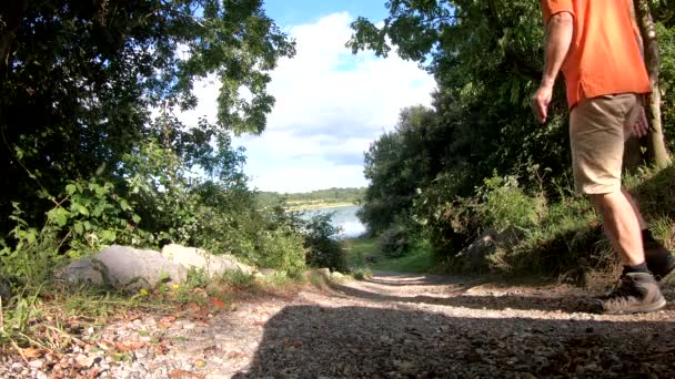 Vista Posteriore Coppia Passeggiando Campagna — Video Stock