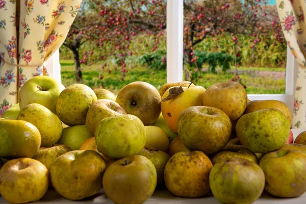 Hög med ekologiska äpplen på ett bord nära fönstret — Stockfoto