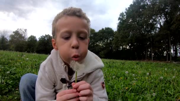 Mladý Chlapec Foukání Pampelišku — Stock video