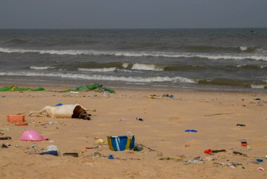 Senegal, Afrika sahillerindeki kirlilik.