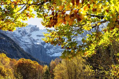 Cirque de Gavarnie, Hautes-Pyrenees, Fransa görünümünü