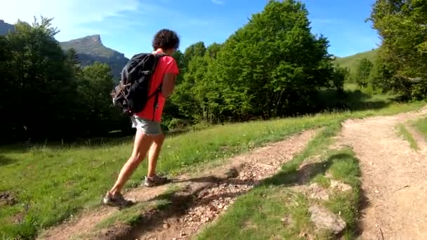 Caminhante Mulher Caminhando Caminho Nas Montanhas Dos Pirenéus — Vídeo de Stock