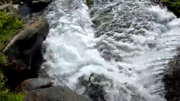 Cascade Lac Ayous Dans Vallée Ossau Dans Les Pyrénées Françaises — Video