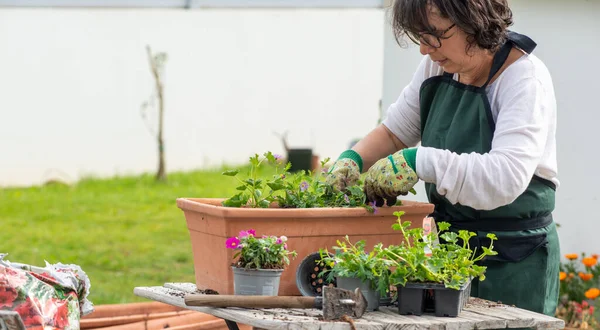 Una Mujer Madura Maceta Flores Jardín — Foto de Stock